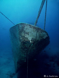 The David Tucker Wreck located off Nassau. This photo was... by Steven Anderson 